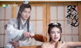 双世宠妃全集在线观看,双世宠妃全集在线观看，浪漫传奇等你解锁